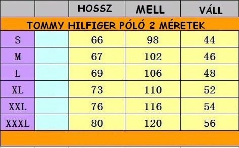 hilfiger_polo_2_meretek.jpg